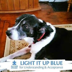 Meet your Posher, Maureen